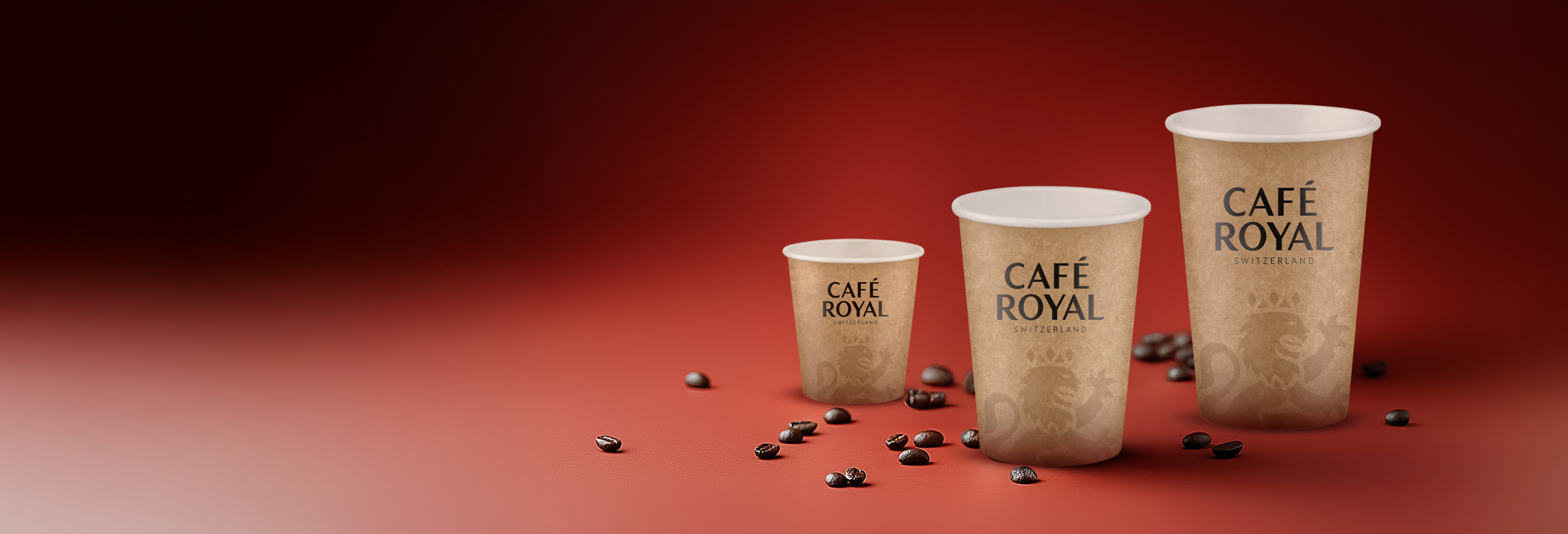 Access-S1 - Main Banner.jpg