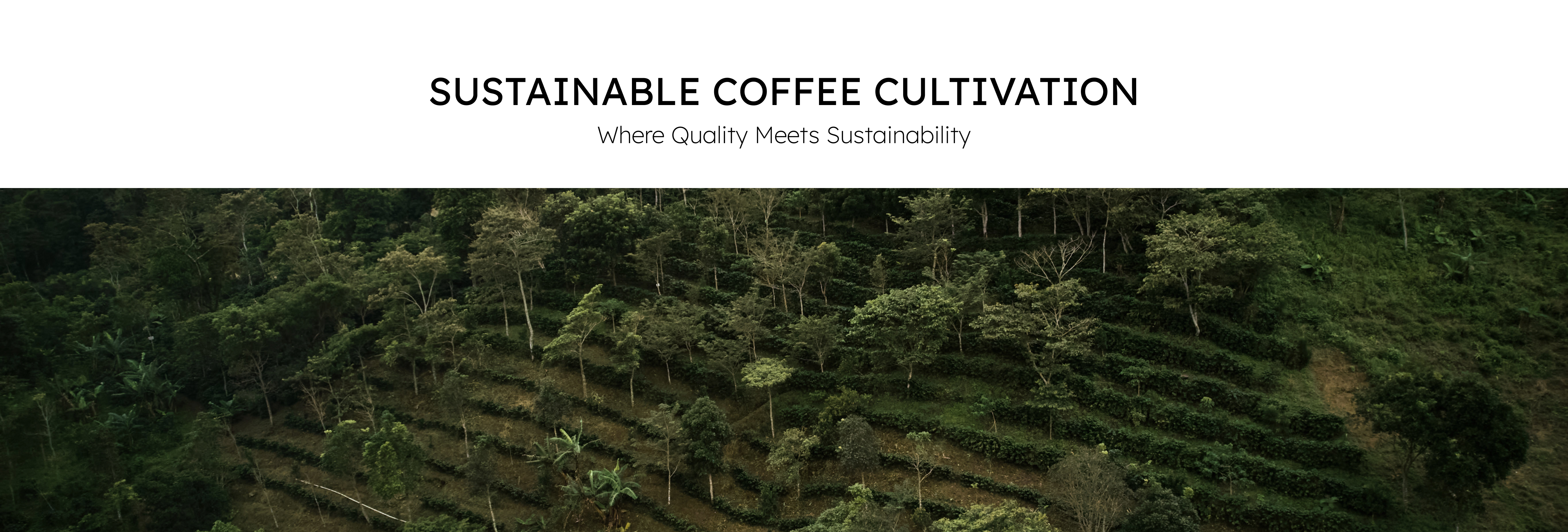 Cultivation & Quality