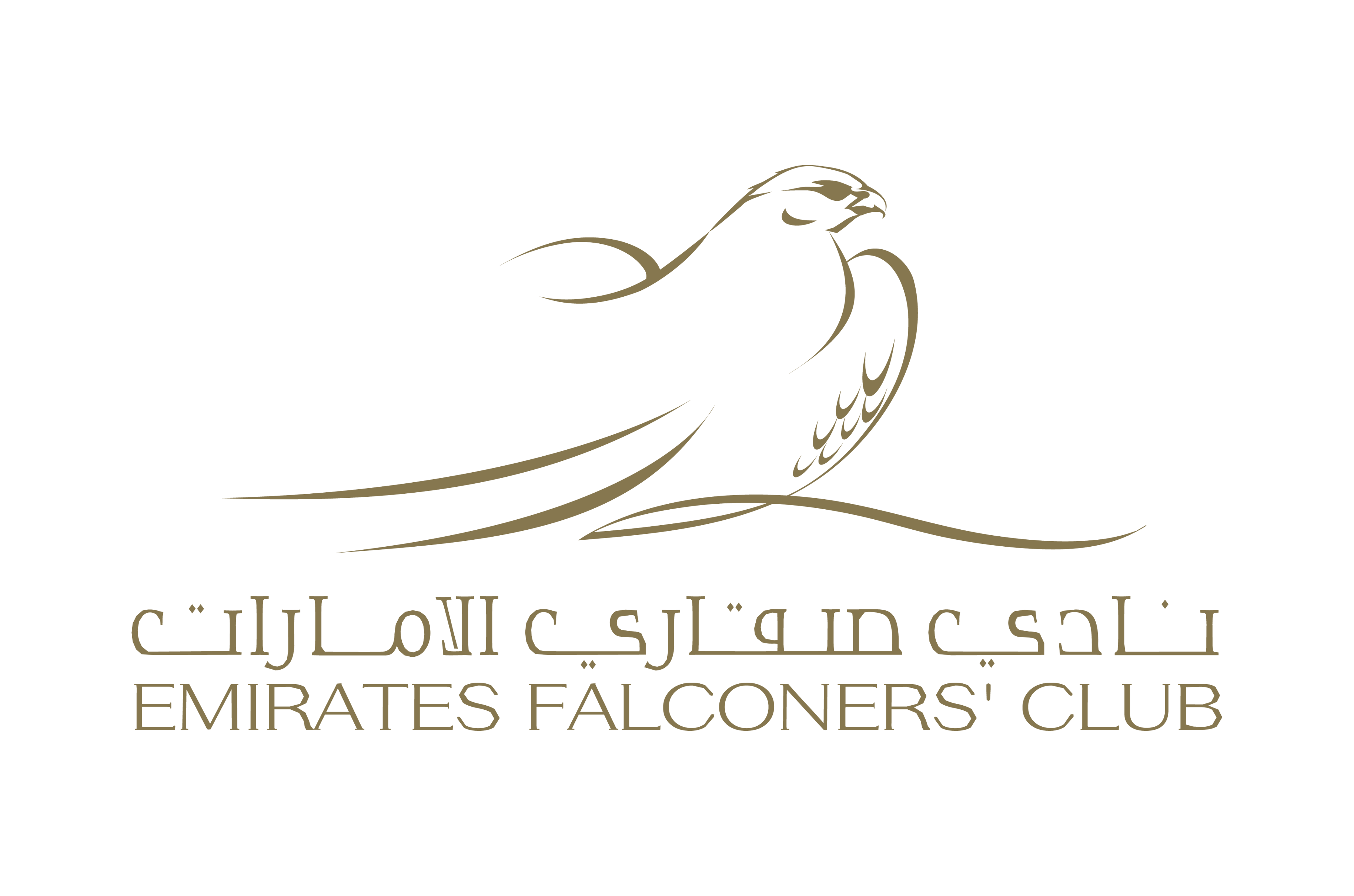 Partners and Sponsors