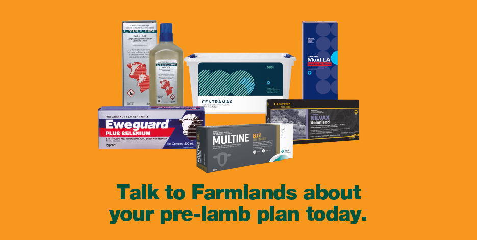 Pre-Lambing Product Solutions
