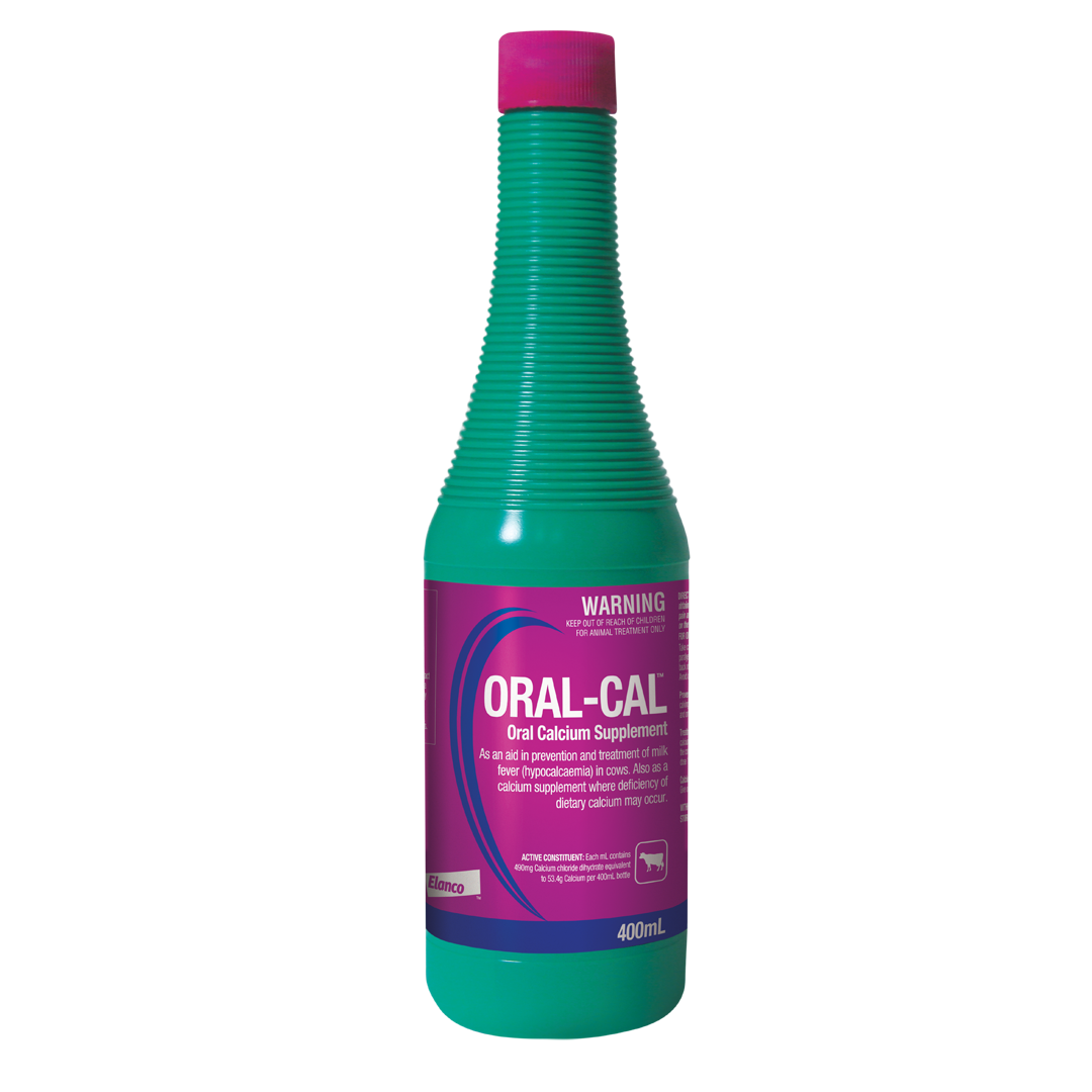 Oral cal outlet plus for dogs