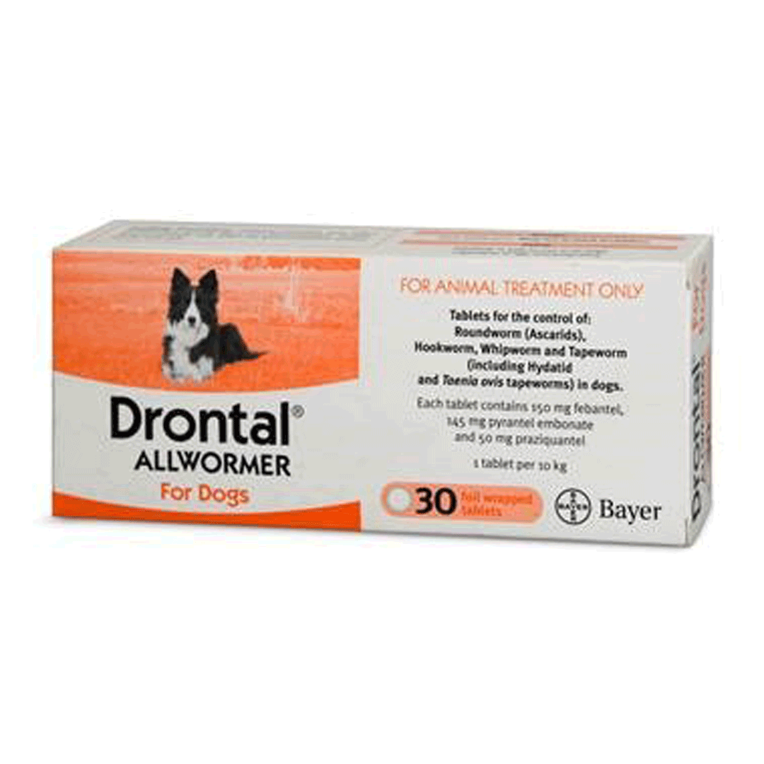 Drontal tapeworm best sale tablets for dogs