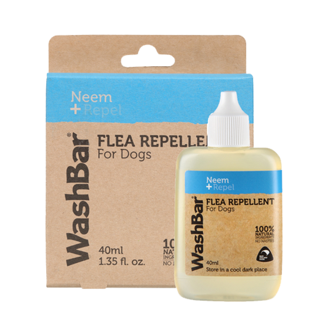 Home remedy flea shop repellent for dogs