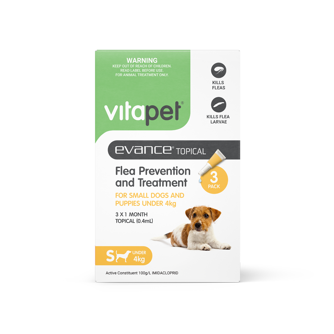 Low cost flea treatment best sale for dogs