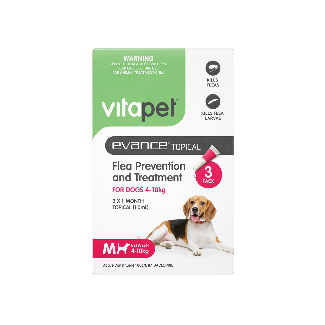 Vitapet worming tablets online