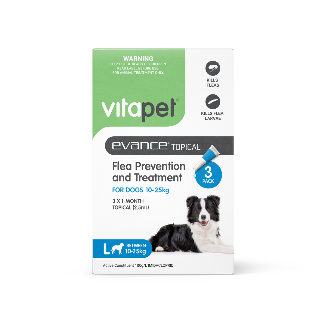 Easy flea treatment outlet for dogs