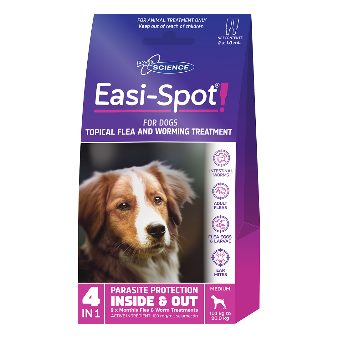 Spot on flea and hotsell worm treatment for dogs