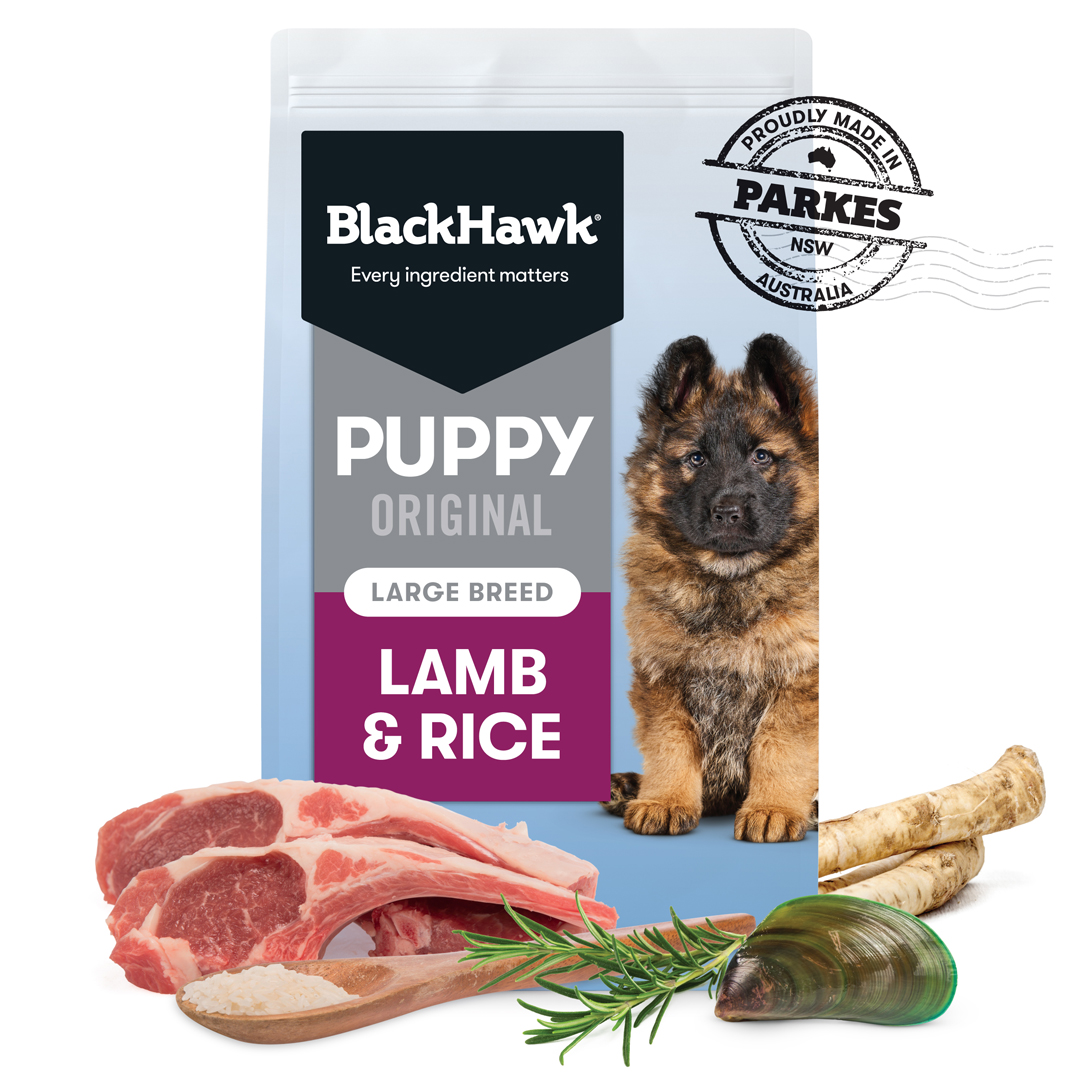 Black hawk kangaroo 15kg hotsell