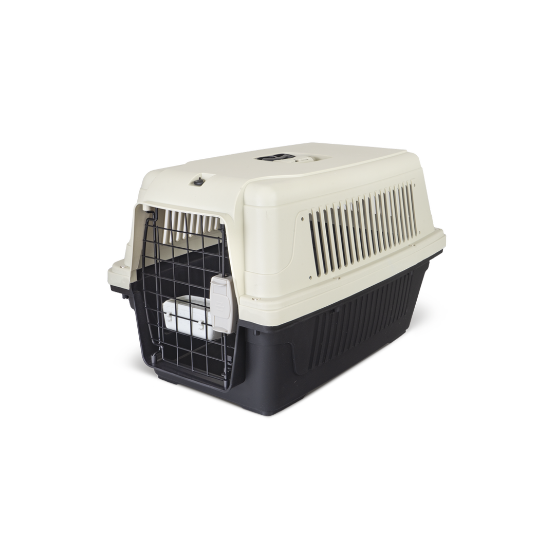 Pet Accessories