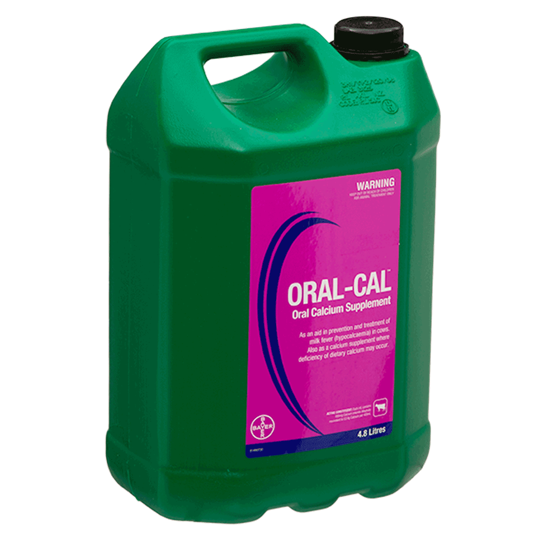 Oral-Cal 4.8L