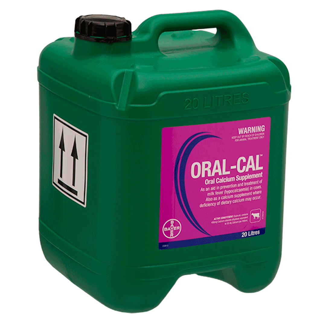 Oral-Cal 20L