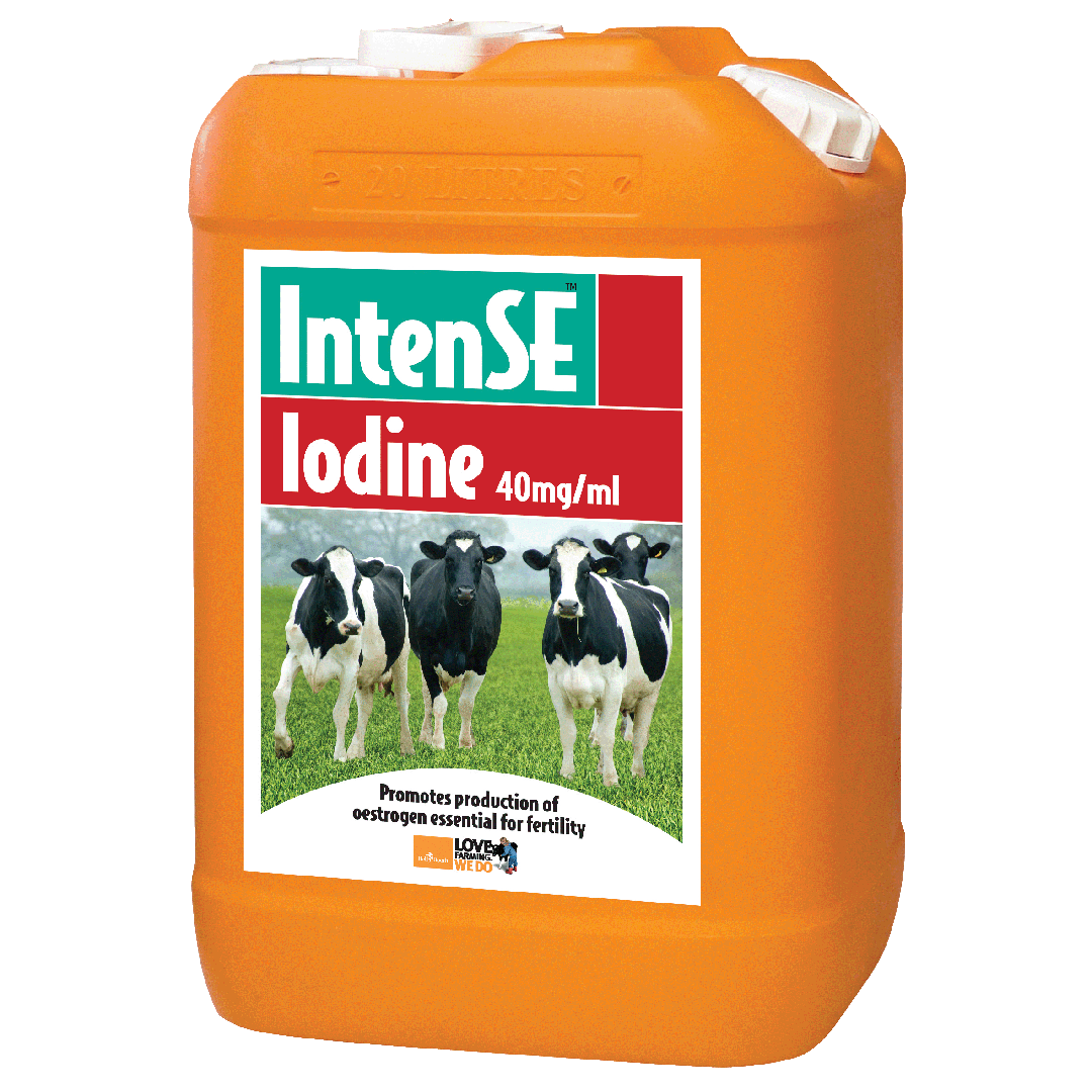 Bell Booth IntenSE Iodine 20L