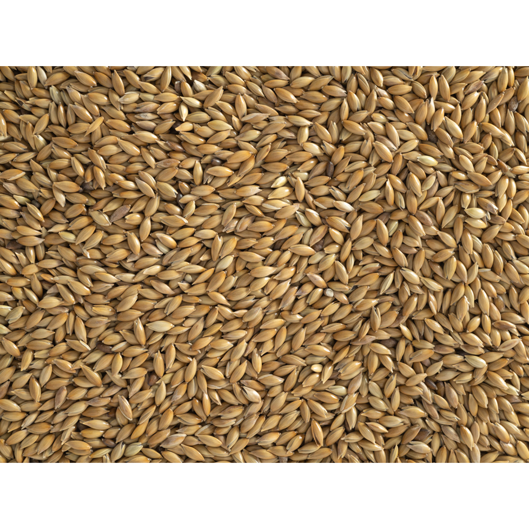 Topflite New Zealand Canary Seed 10kg