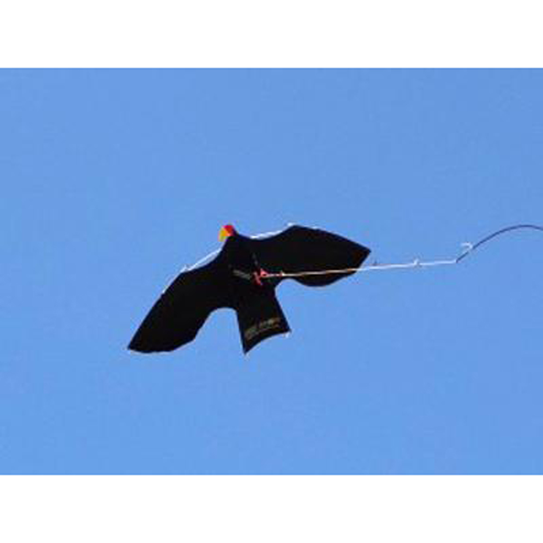 Peter Lynn Bird Scare Kite Sky Crow With Pole