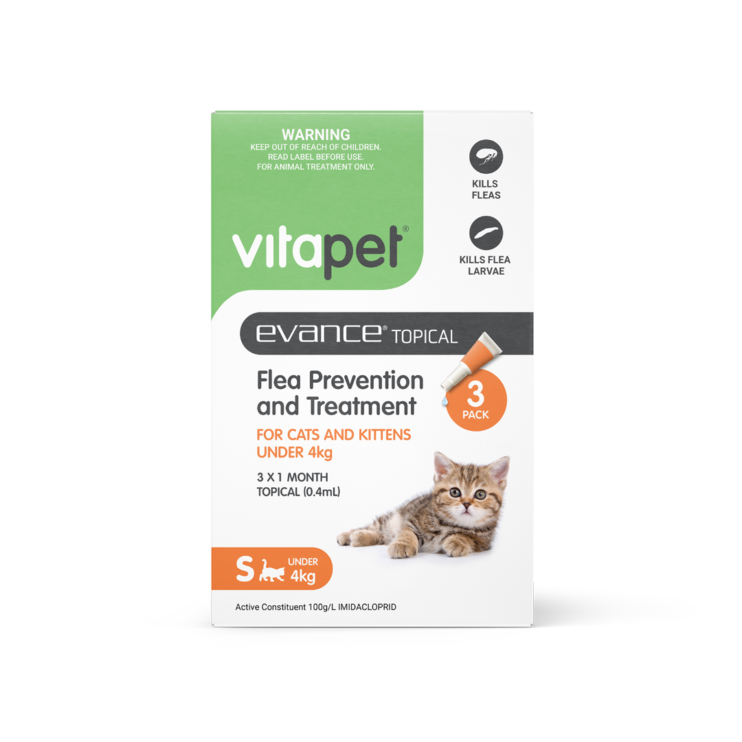 Evance Flea Prevention & Treatment Cat Under 4kg