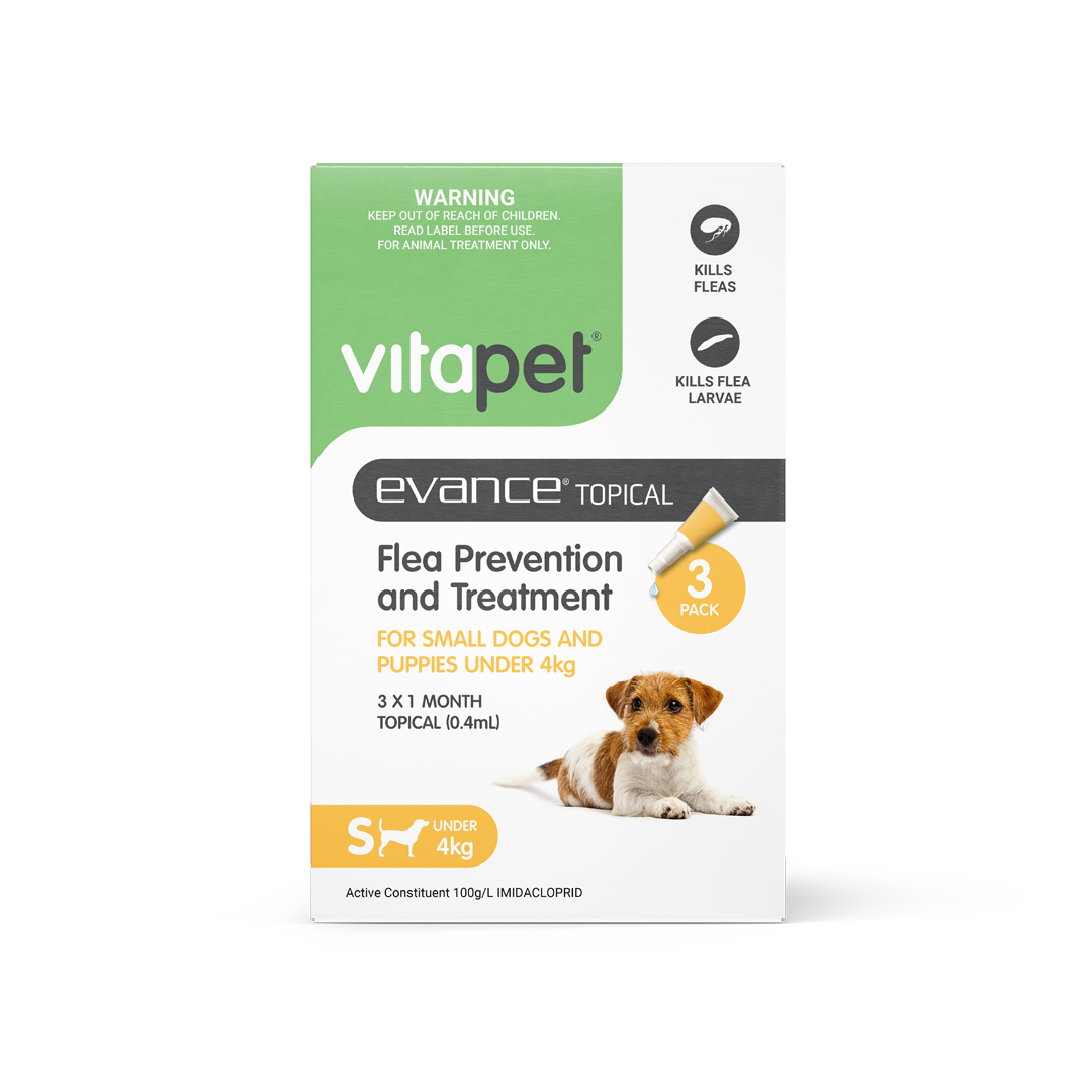 Evance Flea Prevention & Treatment Dog Under 4kg