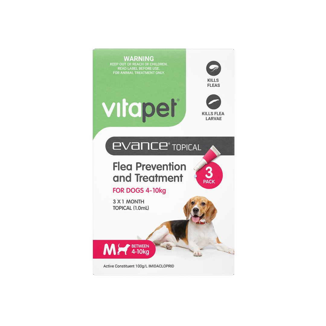 Evance Flea Prevention & Treatment Dog 4 To 10kg