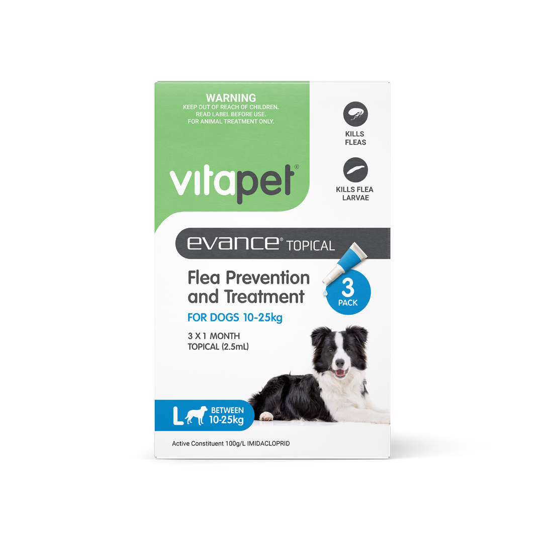 Evance Flea Prevention & Treatment Dog 10 To 25kg