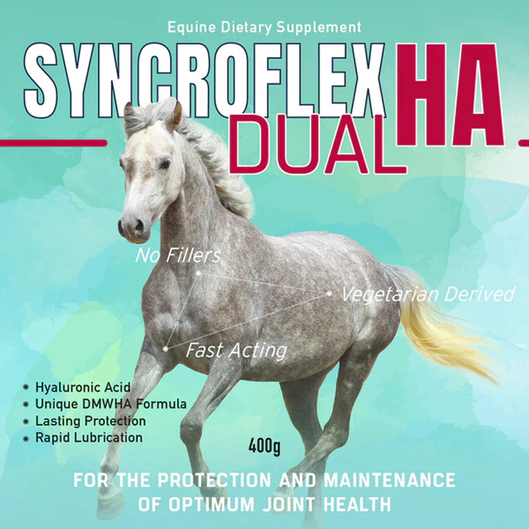 Syncroflex Dual Hyaluronic Acid Powder 400g