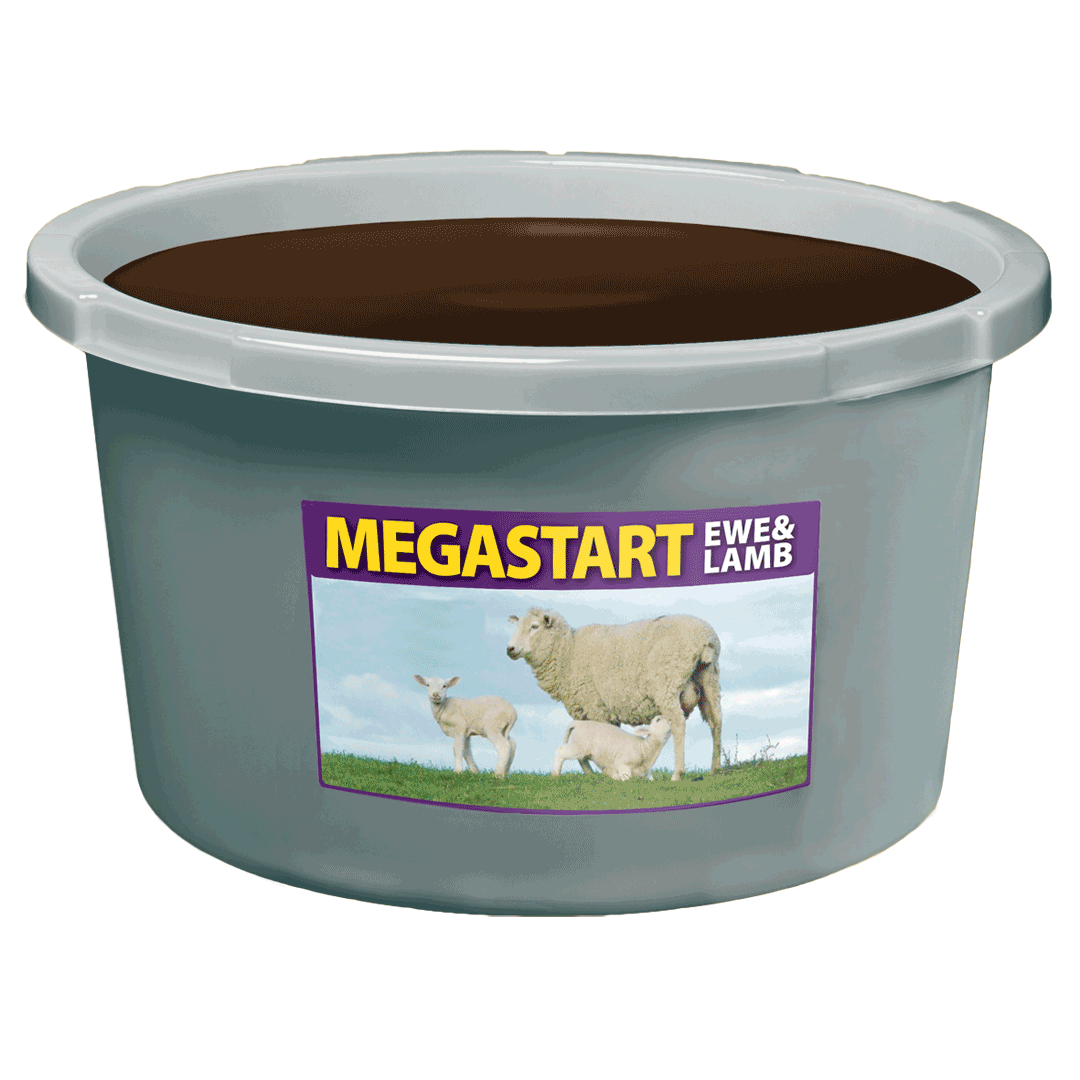 Megastart Ewe & Lamb Block 80kg