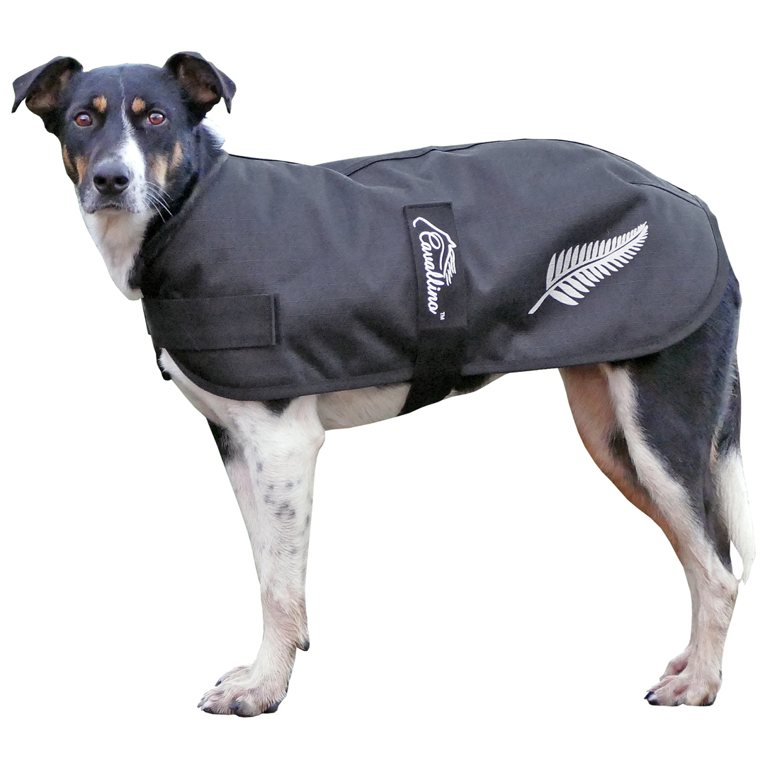 Cavalino Silver Fern Dog Coat 1200D