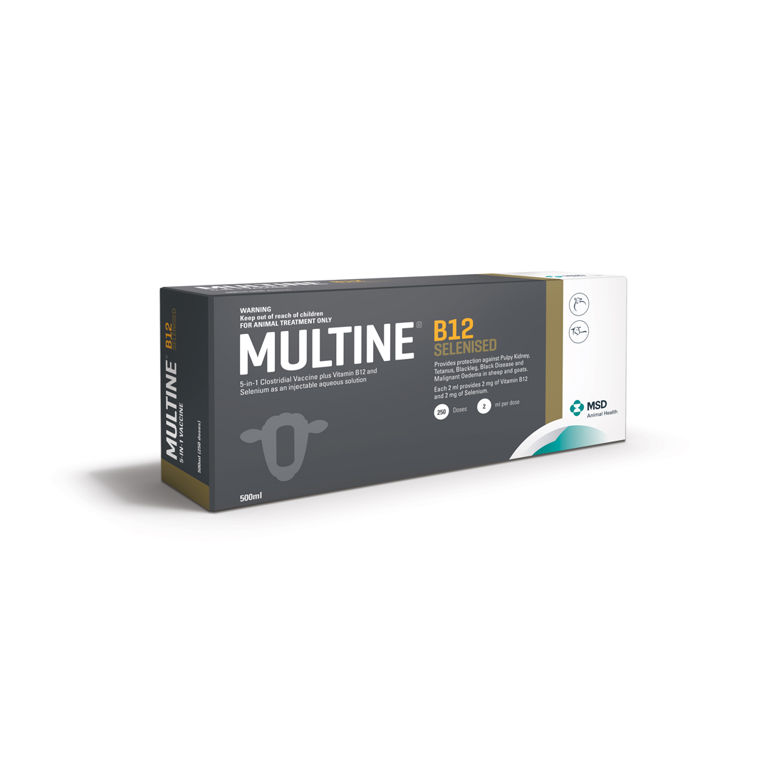 Multine B12 Selenised 500ml