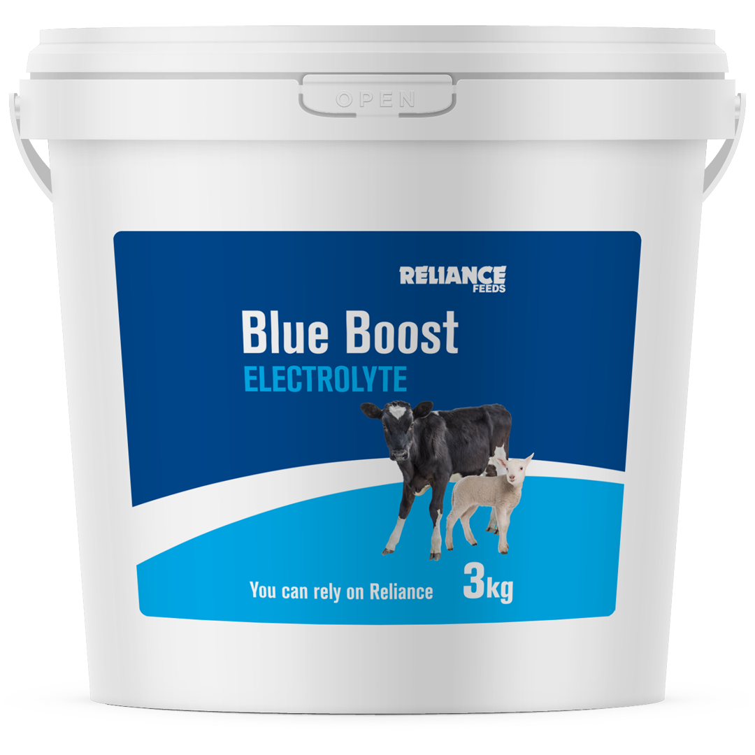 Reliance Blue Boost Electrolyte 3kg