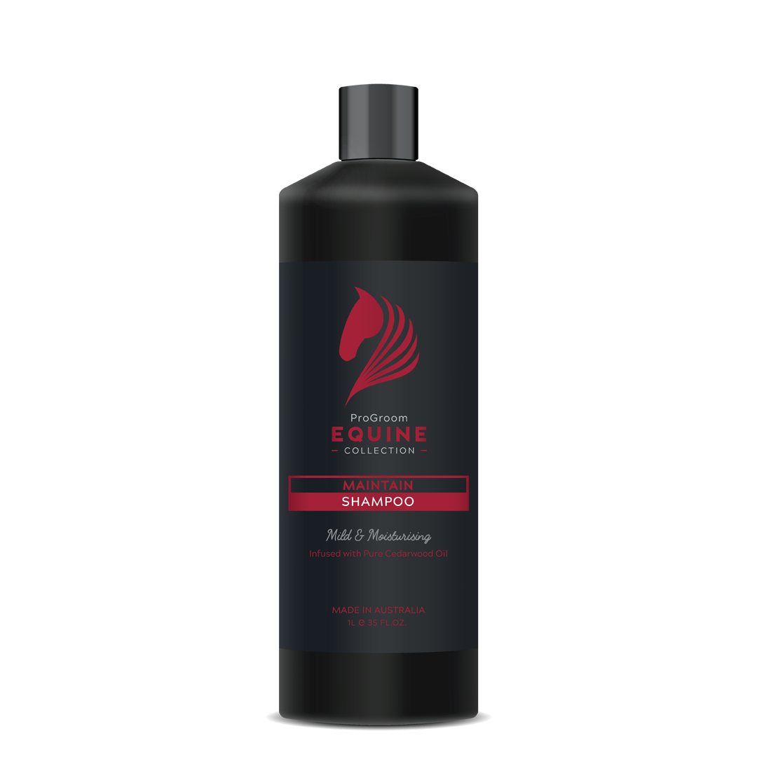 Heiniger Progroom Equine Maintain Shampoo 1L