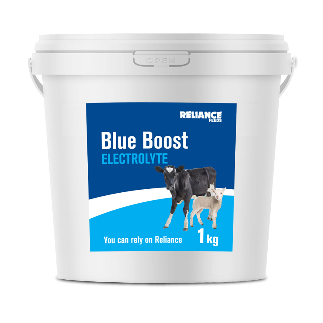 Reliance Blue Boost Electrolyte 1kg