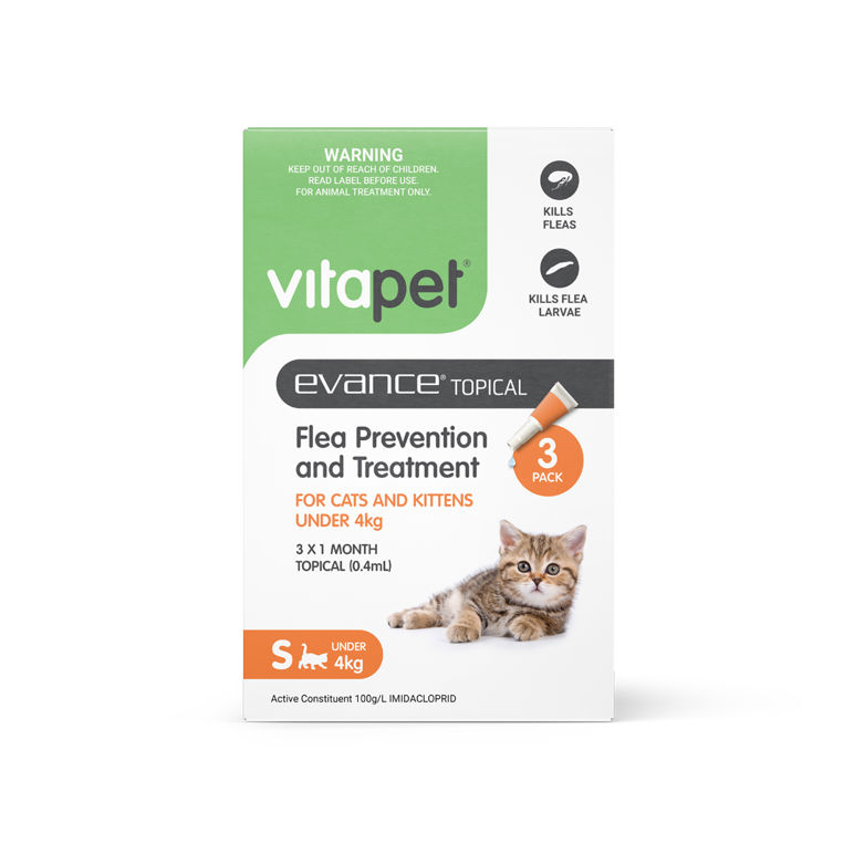 Cat flea prevention treatment clearance