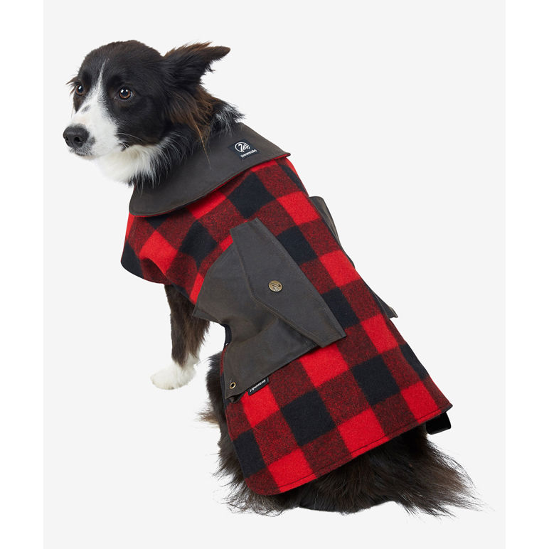 Dog clearance coat wool
