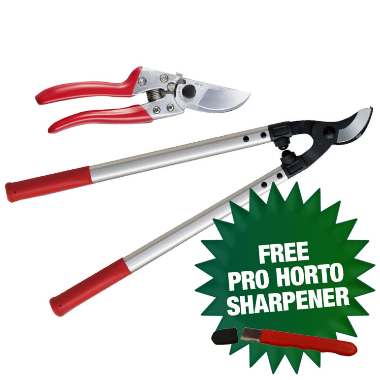 Secateur sharpener best sale