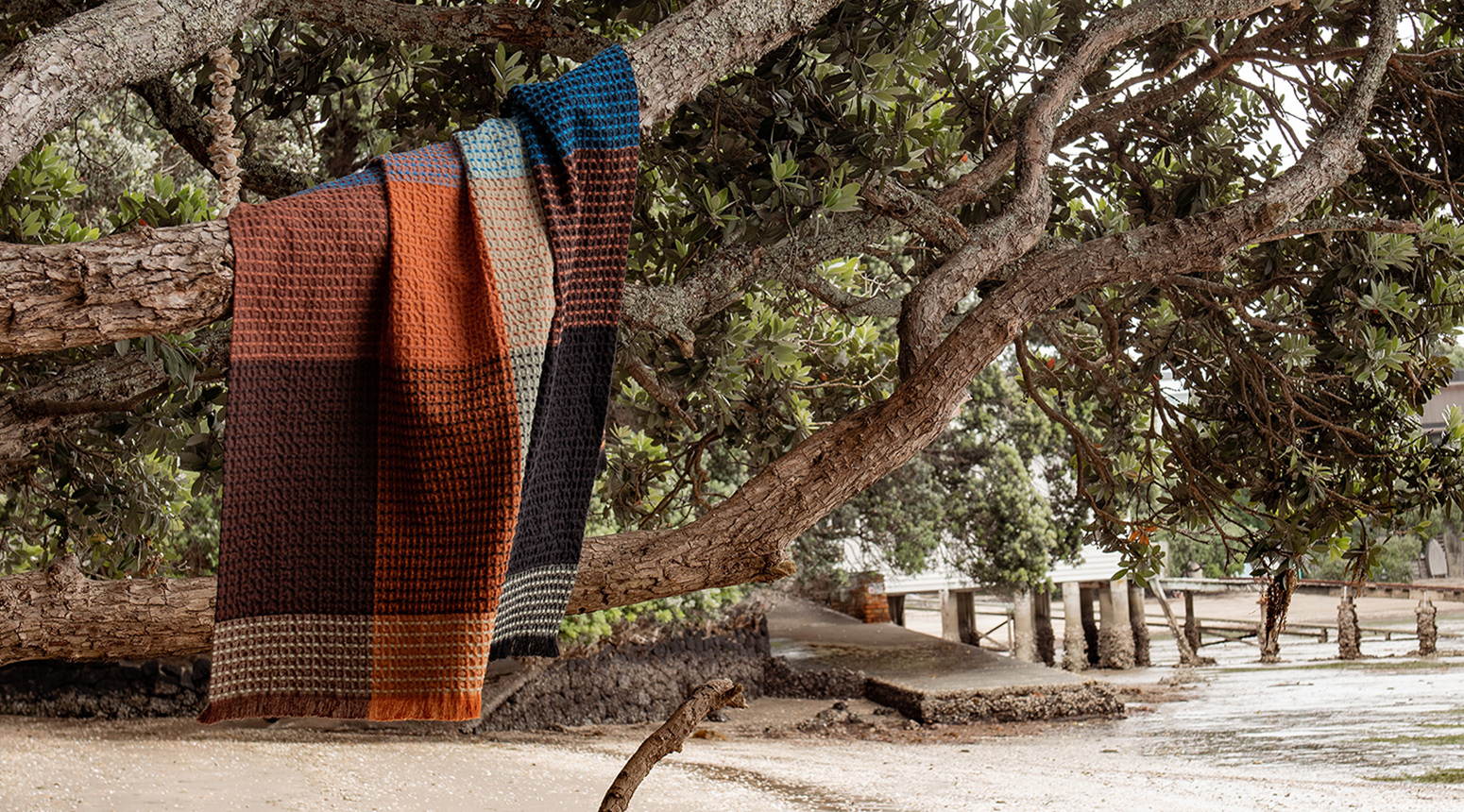 Cabin towel draped over tree branch