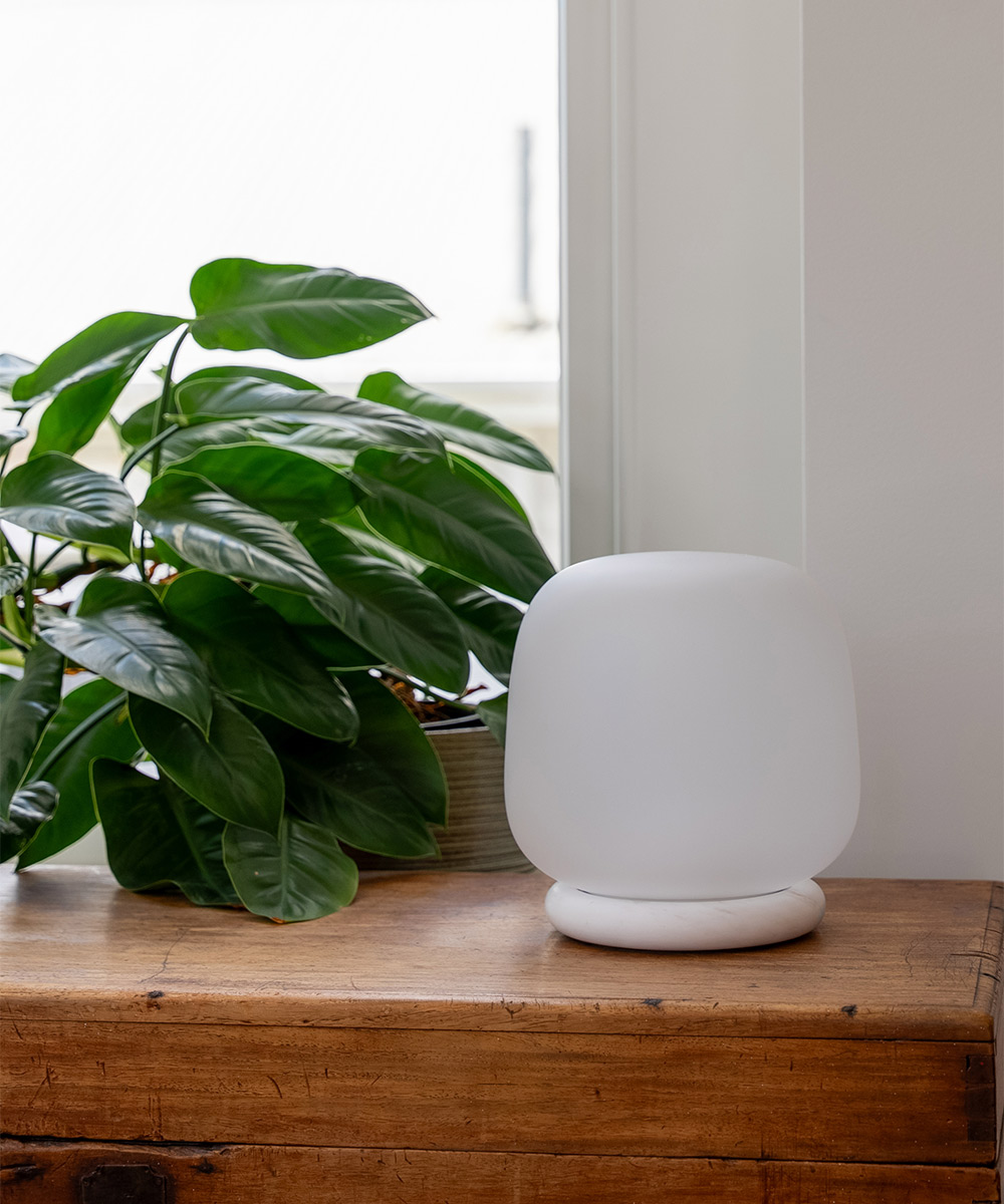 Margots_International