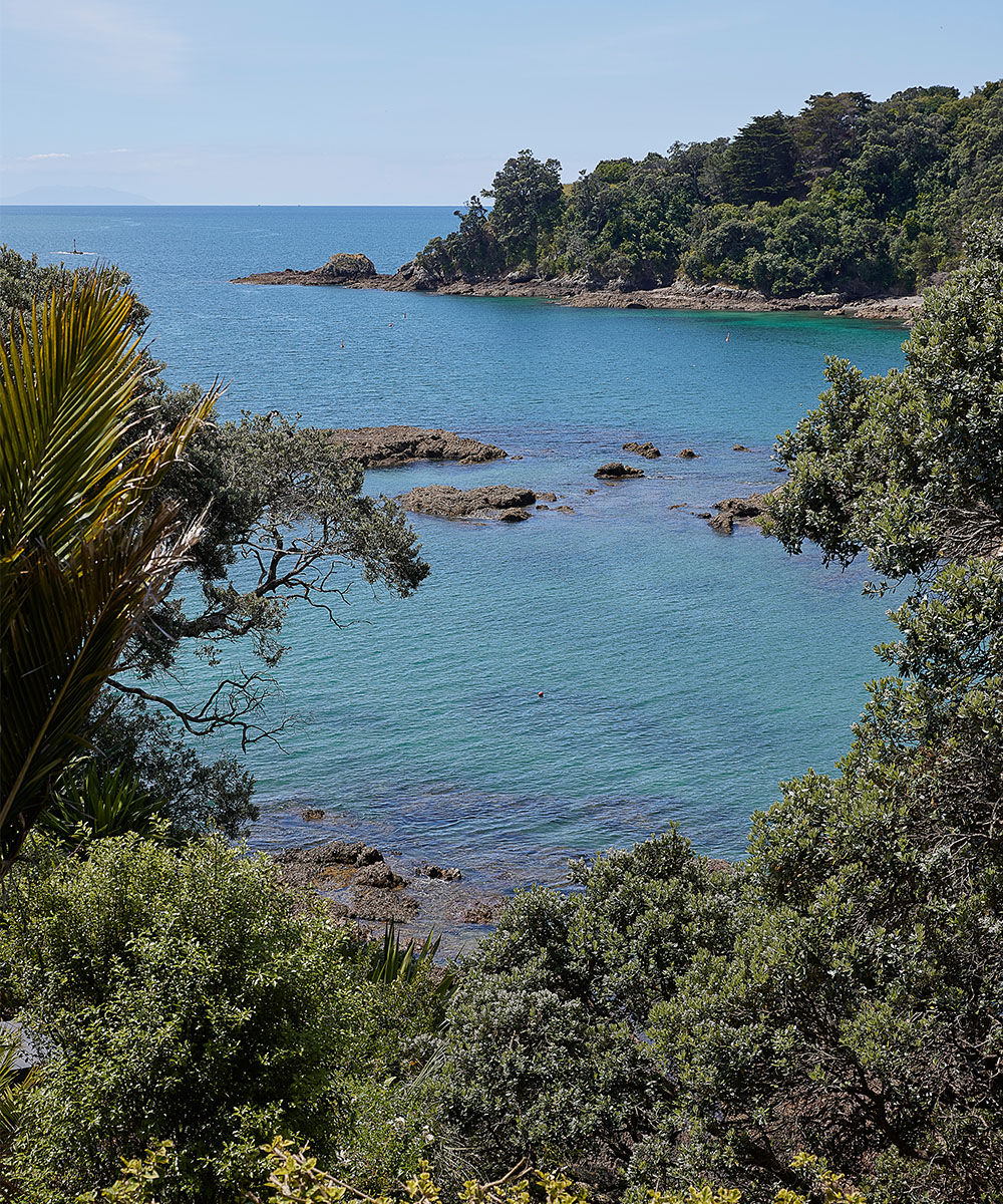 JamieMcLellan_Journal