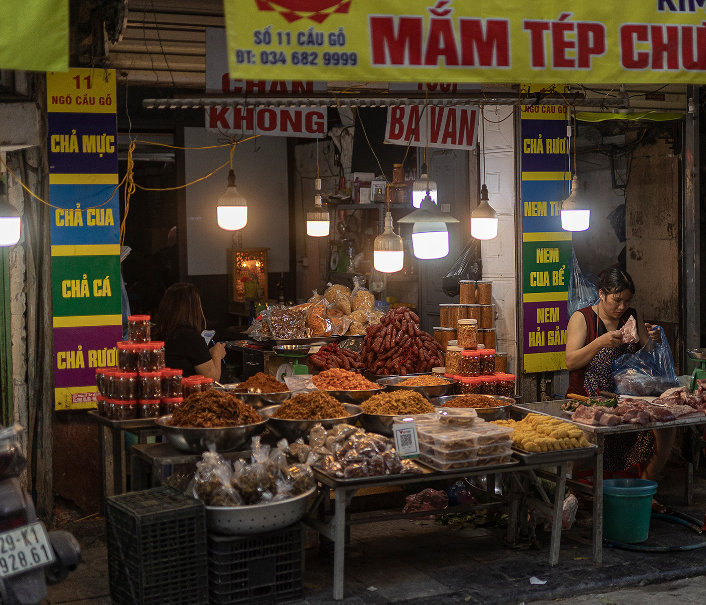 Journal_NikolaiinVietnam2