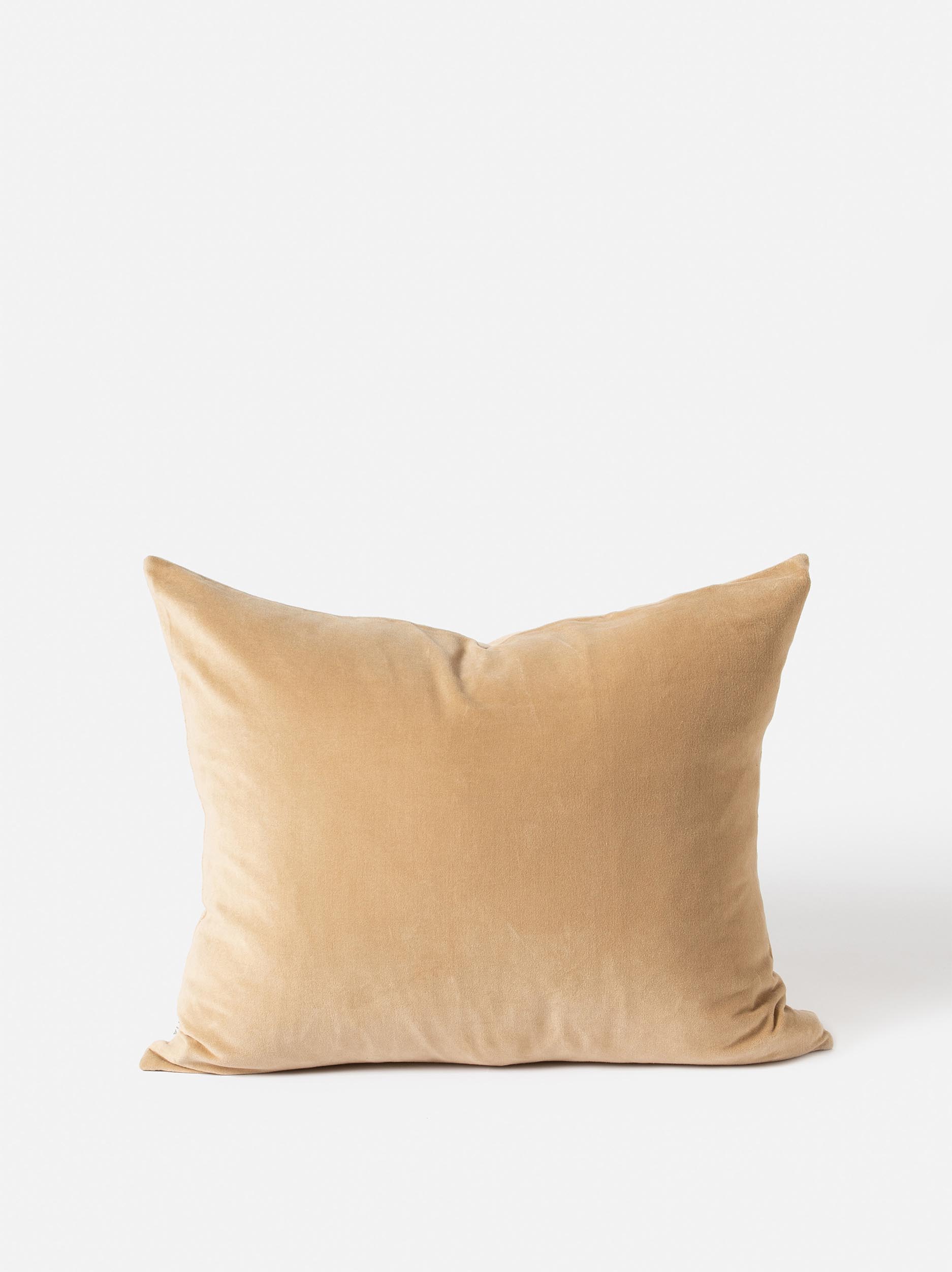 Velvet Cushion Cover