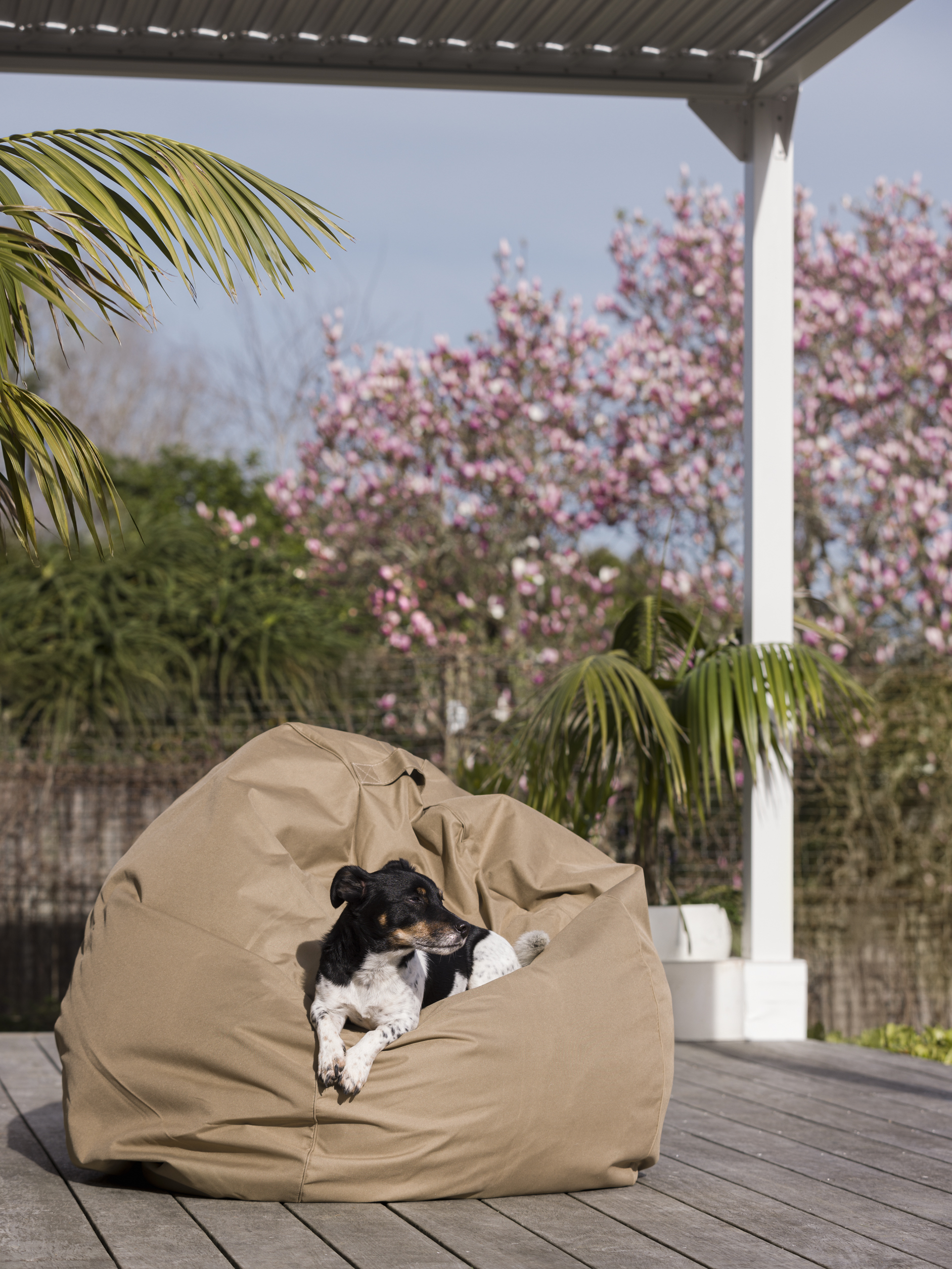 Bean Bag