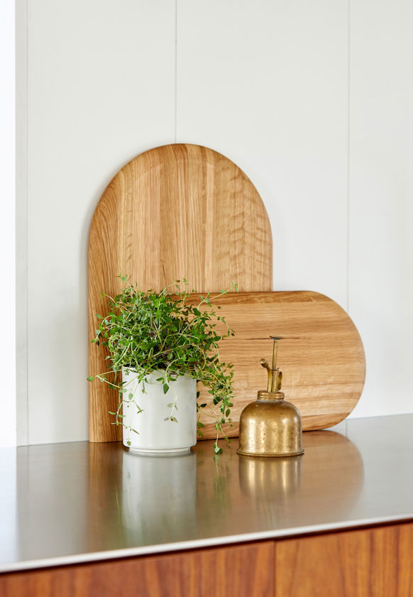 Sampa Board