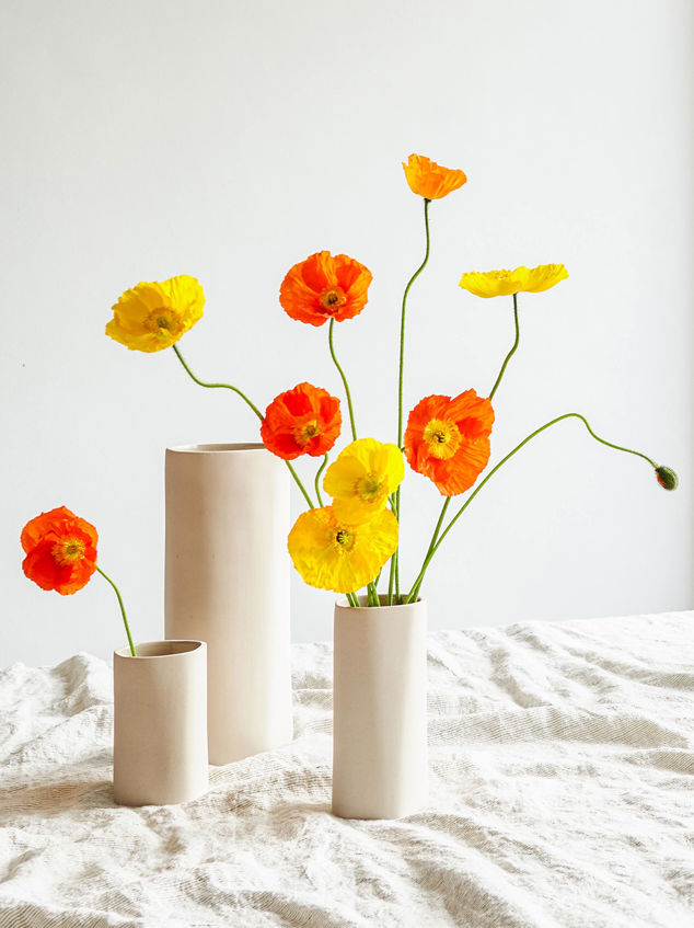 Fossil Vase Mini