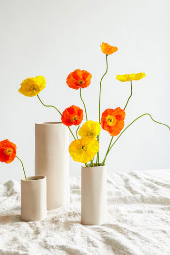 Fossil Vase Mini