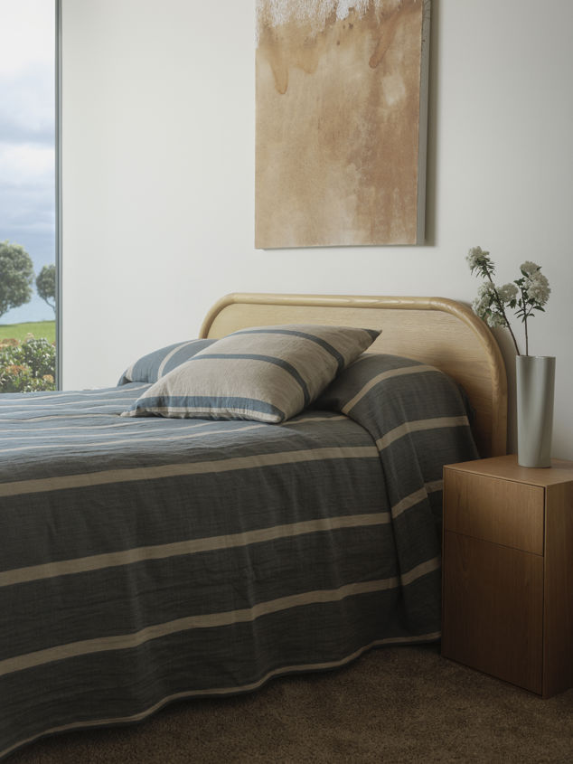 Carnival Euro Cushion