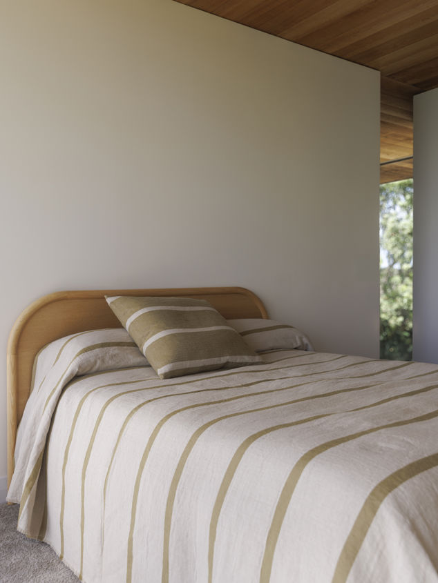 Carnival Euro Cushion