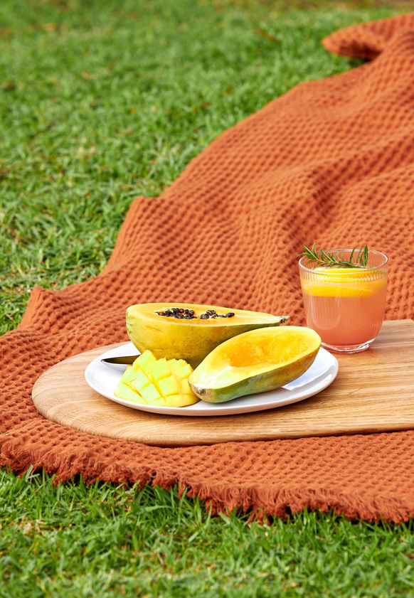 Talo Dinner Plate Set/4