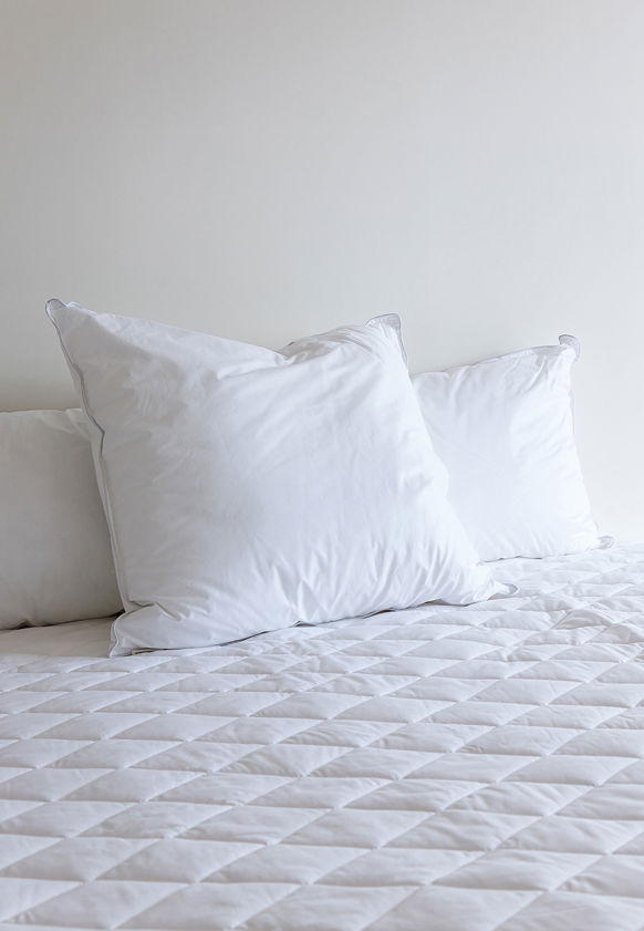 Euro Microfibre Pillow Inner Soft (1000g)
