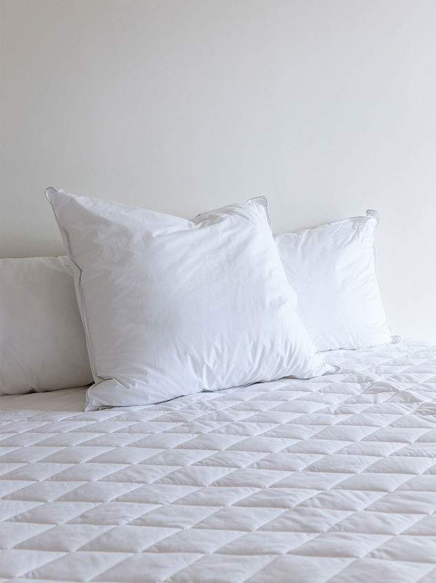 Euro Feather & Duck Down Pillow Inner 3 layer