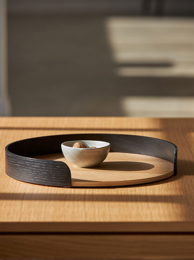 Segment Tray