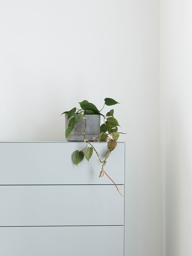 Harvest Planter