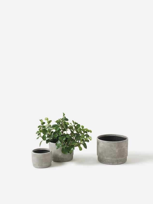 Harvest Planter