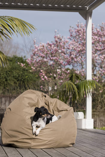 Bean Bag